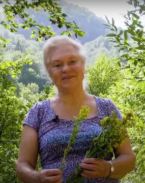Золотое растение Золотое растение
