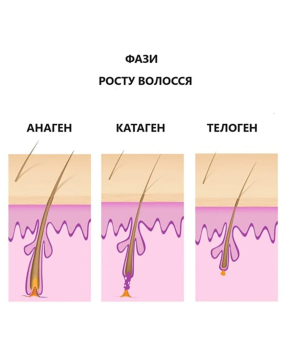 Выпадение волос и его причины