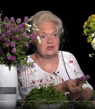 Целебные свойства клевера