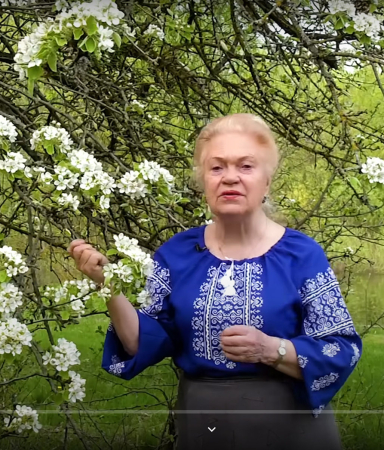 Груша, целебная и крепкая Груша, целебная и крепкая