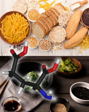 Глютаминовая кислота, глютамин, глютен и вкус умами