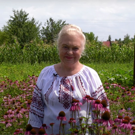 Ехінацея пурпурова (Echinacea purpurea) Ехінацея пурпурова (Echinacea purpurea)