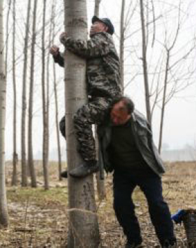 Було б бажання