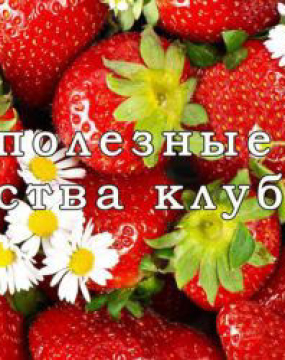 Корисні властивості полуниці