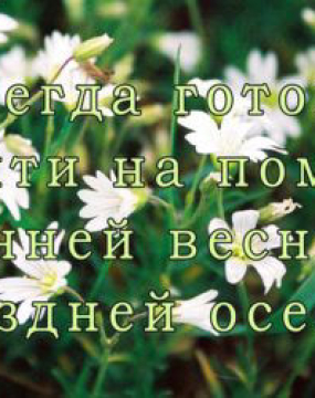 Завжди готовий прийти вам на помыч із ранньої весни до пізньої осені