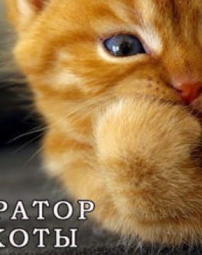 Генератор муркоти
