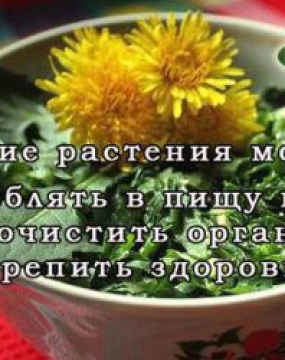 Які рослини можна вживати в їжу навесні, щоб очистити організм та зміцнити здоров'я
