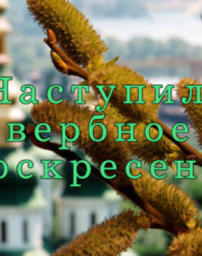 Вербна неділя