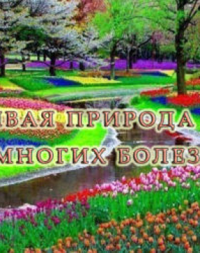Красивая природа лечит от многих болезней